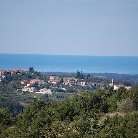 Casa Sarina